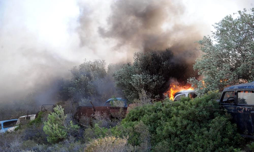 Υπό έλεγχο η πυρκαγιά στην Παλλήνη Αττικής